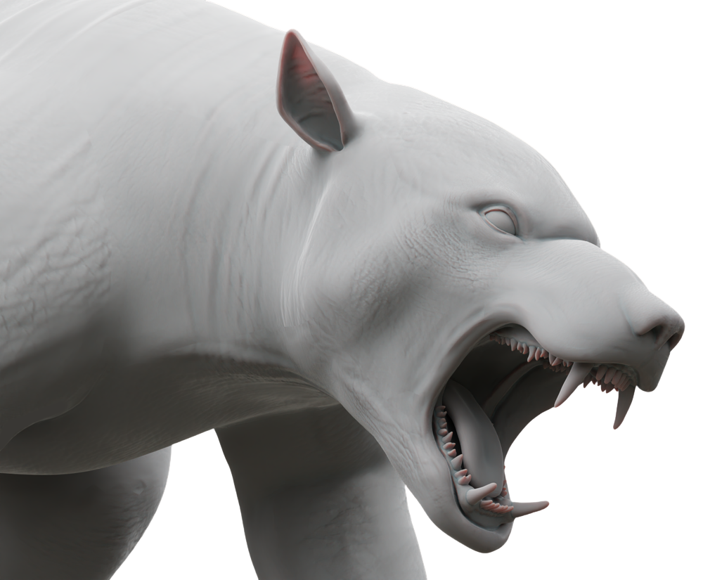 Bear_Render_TransBack