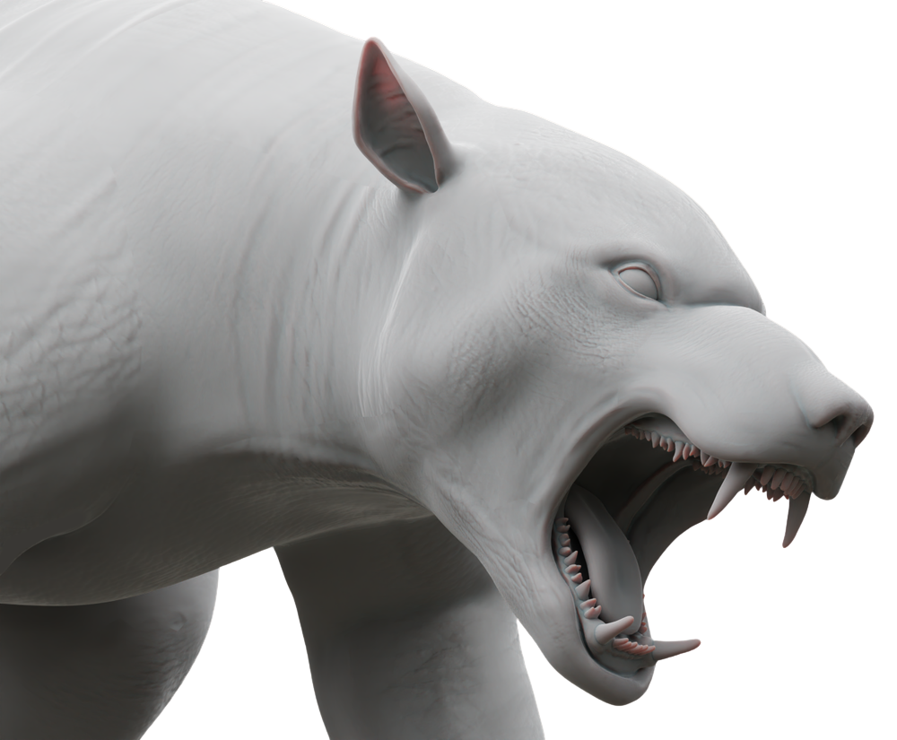 Bear_Render_TransBack